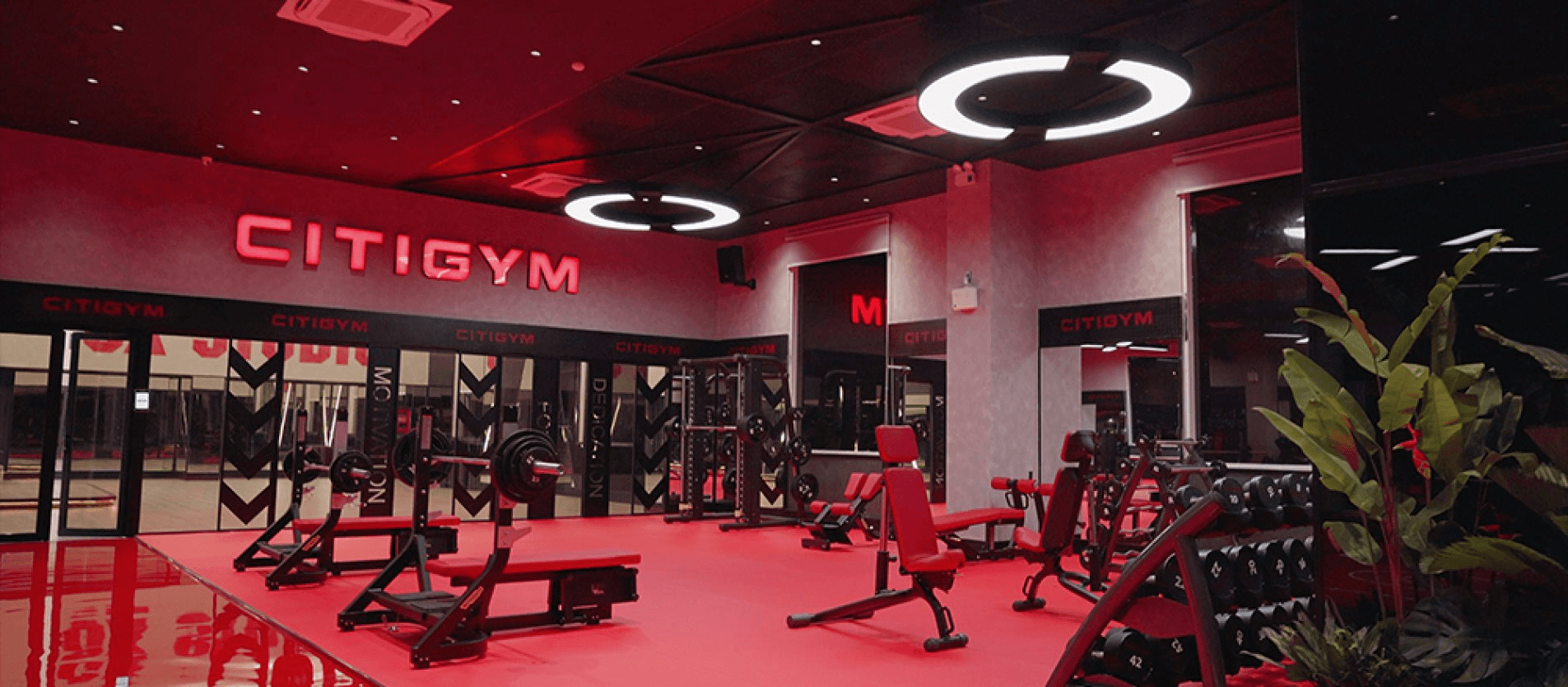 citygym-2-1789450444.png