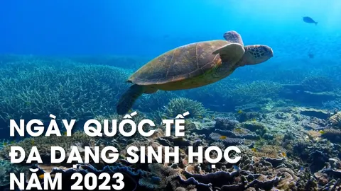 Ngày Quốc tế đa dạng sinh học năm 2023
