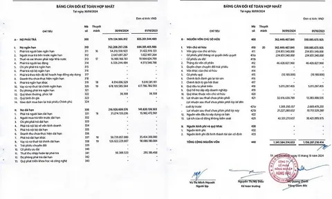Công ty Hùng Hậu: Nợ phải trả cao gấp 2,7 lần vốn chủ sở hữu