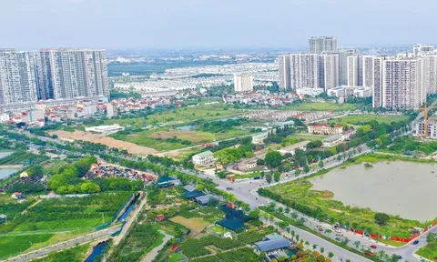 Dự án đầu tư kinh doanh nào phải tổ chức đấu thầu lựa chọn nhà đầu tư?