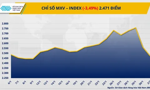 Thị trường hàng hóa ‘đỏ lửa”, MXV-Index lao xuống vùng 2.400 điểm