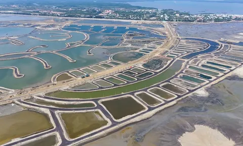 Bức tranh kinh doanh của DN nhà ở năm 2025: Thăng hoa và kỷ lục