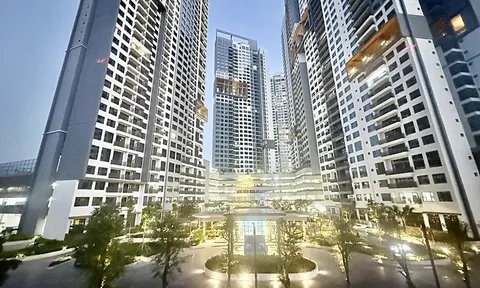 Định danh bất động sản: Thúc đẩy kết nối liên ngành và bảo mật thông tin