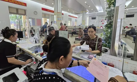 TP.HCM giữ nguyên thẩm quyền, trình tự giải quyết thủ tục đất đai trước 31-1-2026