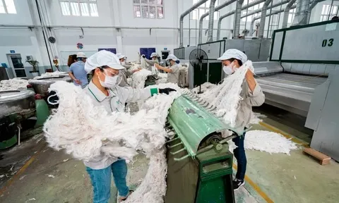 Công ty An Phước bị ngân hàng 'siết nợ' nhà máy sản xuất sợi dệt