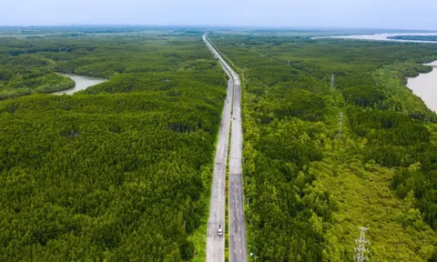 UBND TPHCM ban hành kế hoạch giải phóng mặt bằng tuyến đường sắt Bến Thành - Cần Giờ