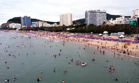 TP.HCM giao nhiệm vụ chủ đầu tư metro Vũng Tàu - Bà Rịa - Phú Mỹ