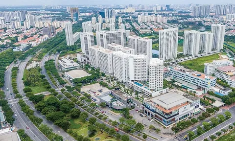 Chính sách thuế đối với tài sản mã hóa