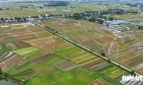 Đất nông nghiệp có nhà ở được bồi thường theo giá nào?