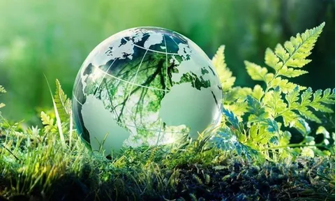 Phó Thủ tướng Nguyễn Văn Thắng: Doanh nghiệp chính là động lực quyết định sự thành bại của hành trình Net Zero