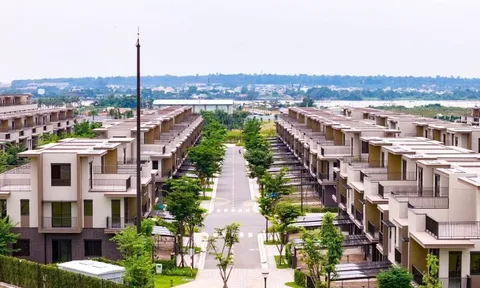 Đang lỗ lũy kế, VC9 muốn bán cổ phiếu huy động 1.800 tỷ đồng
