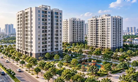 Hà Nội rà soát phát triển nhà ở xã hội, ưu tiên quỹ nhà tái định cư