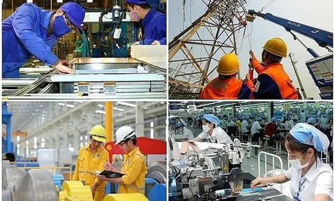 Phê duyệt Kế hoạch cơ cấu lại vốn nhà nước tại doanh nghiệp giai đoạn 2026 - 2030