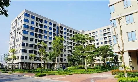 Vì sao thuê nhà chưa thể là giải pháp an cư lâu dài tại Việt Nam?