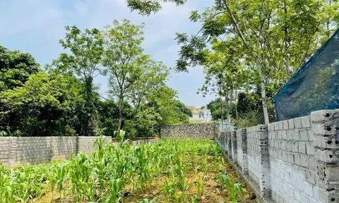 Giá đất nền tăng mạnh, có nơi tăng đến 100%