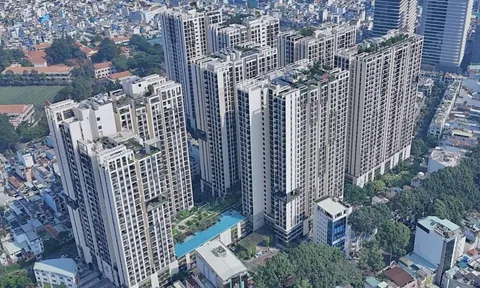 Vì sao nhu cầu tăng cao nhưng giá nhà cho thuê lại giảm?