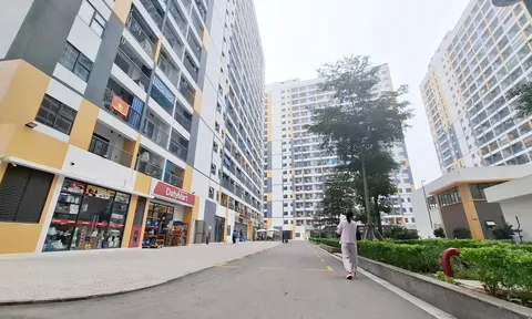 Tổng rà soát hồ sơ mua, thuê nhà ở xã hội