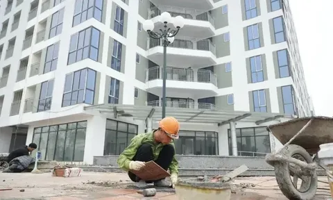 TP. Hồ Chí Minh ưu tiên nhà ở xã hội và đô thị TOD