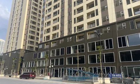 TP Hồ Chí Minh: Đẩy nhanh tiến độ hoàn thành hơn 36.000 căn nhà ở xã hội