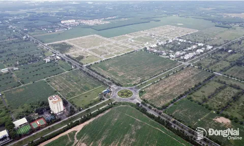 Đồng Nai dự kiến đấu giá 107 khu đất