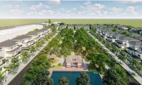 Chủ đầu tư An Phước Sài Gòn Riverside lỗ lũy kế gần 100 tỷ đồng, áp lực tài chính gia tăng