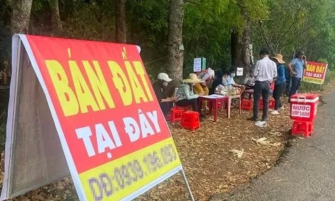 Đầu cơ gặp khó, nhà đầu tư nên “tính chuyện đường dài”