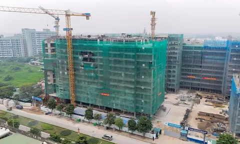 Kịch bản tăng trưởng cho các quý còn lại của năm 2026