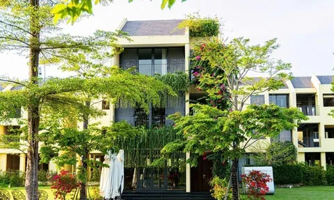 Sinh lời không đến từ “sóng thị trường” mà từ giá trị sử dụng