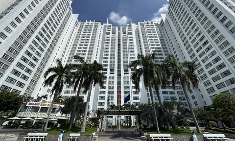 Bất chấp lãi suất neo cao, giao dịch căn hộ vẫn tăng