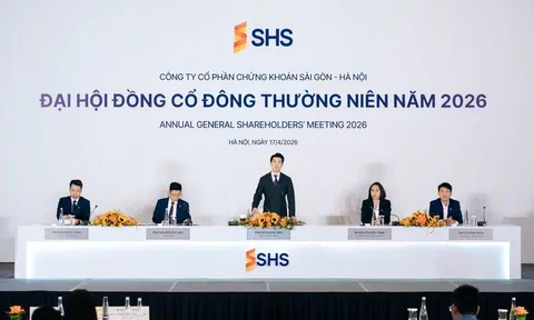 Ngân hàng và công ty chứng khoán tăng tốc tái cấu trúc: Tăng trưởng đi cùng chọn lọc