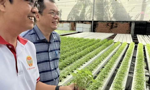 "Trụ đỡ" nông nghiệp trước áp lực giá: Cần chuyển mạnh từ sản lượng sang giá trị