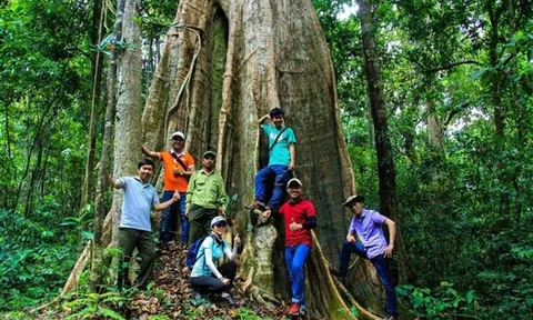 Đồng Nai quy hoạch 51 điểm du lịch sinh thái tại Khu bảo tồn thiên nhiên - văn hóa