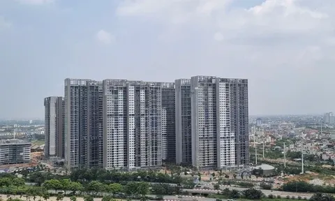 Giá chung cư Hà Nội, TP.HCM lập đỉnh mới: Người trẻ chật vật mua nhà