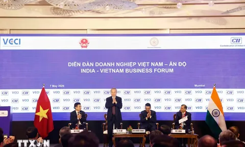 Tổng Bí thư, Chủ tịch nước Tô Lâm dự Diễn đàn doanh nghiệp Việt Nam - Ấn Độ