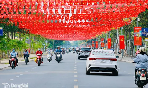 Thành phố Đồng Nai tăng tốc chỉnh trang đô thị trước lễ công bố thành lập