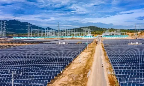 Trung Nam Thuận Nam chia lại lộ trình lãi suất của 7 lô trái phiếu