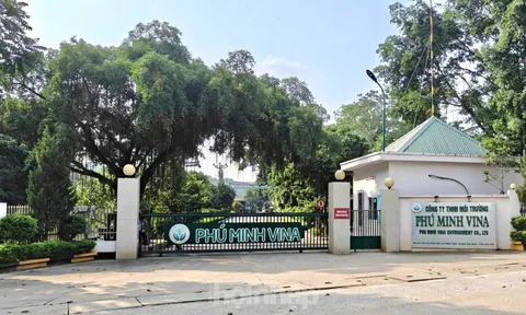 Công ty Phú Minh Vina để ngoài sổ sách hơn 8,4 tỷ đồng, 'có dấu hiệu trốn thuế'