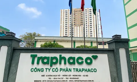 Vi phạm sản xuất và kiểm nghiệm thuốc, Traphaco nhận án phạt