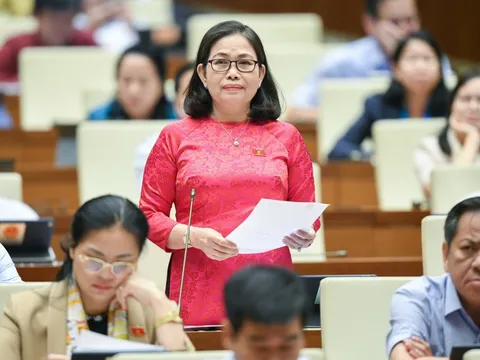 ĐBQH Nguyễn Thị Yến (Bà Rịa - Vũng Tàu): Làm rõ thông tin đầu vào để xác định giá đất