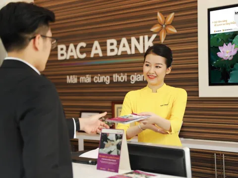 Ngân hàng sai phạm: BacABank đã cho hàng loạt công ty “họ TH” vay như thế nào?
