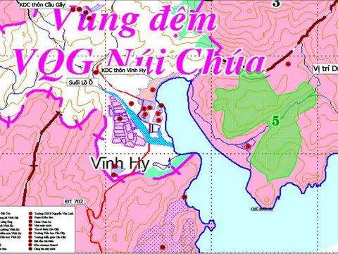 Xây dựng Khu nghỉ dưỡng cao cấp Vĩnh Hy, BIM Group có đang trực tiếp tác động đến môi trường sống của sinh vật quý hiếm tại Vườn Quốc gia Núi Chúa