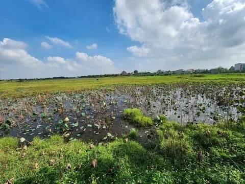 Dự án 2.500 tỷ đồng của Nguyễn Hoàng Group tại Thanh Hóa bị chậm tiến độ