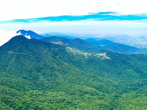 Thông tin về vụ lấy đất Vườn quốc gia Tam Đảo xây khu du lịch