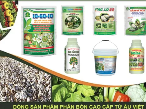 Vừa trở thành công ty đại chúng, hàng loạt sản phẩm Phân bón Quốc tế Âu Việt vi phạm nhãn hàng hoá