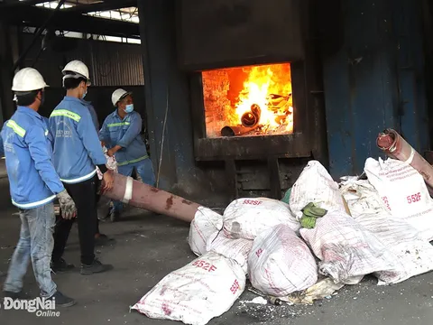 Hàng loạt vi phạm tại Công ty CP Môi trường Thiên Thanh