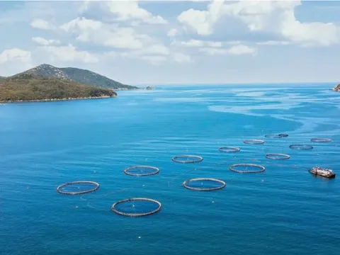 Một doanh nghiệp FDI tại Việt Nam được ADB đầu tư 18 triệu USD