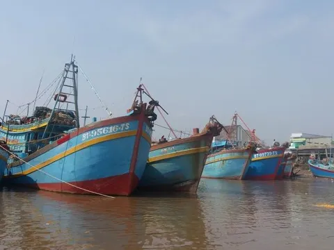 Bến Tre: Hàng loạt tàu lắp thiết bị giám sát của Công ty Bình Anh bị mất tín hiệu