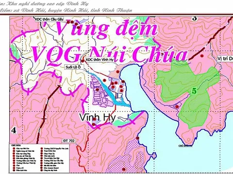 Dự án nghỉ dưỡng cao cấp "lấy" gần 12ha rừng của Vườn quốc gia Núi Chúa