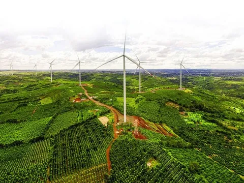 Đắk Nông: Kiểm tra việc quản lý, vận hành nhà máy điện gió Đắk Hòa