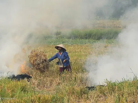 Hà Nội: Tăng cường các biện pháp quản lý nhà nước đối với hoạt động đốt rơm rạ